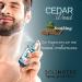 SOLINOTES Cedarwood Perfume for Men - Eau De Parfum | Refined Woody and Soothing Fragrance - Made in France - Vegan - 1.7 fl.oz - Buy Online on GoSupps.com