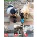 Lesotc 2022 Upgraded Pet Water Bottle - Leak Proof Dog Travel Dispenser | Lightweight & Convenient for Outdoor Walking | BPA Free | 21oz Black - Buy Online on GoSupps.com