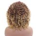 Ombre Afro Kinky Curly Wigs for Black Women | Synthetic Curly Hair - Perfect Daily Style - Buy Online on GoSupps.com