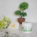 Hyaluron Anti-Wrinkle Cream with Avocado Oil for Mature Skin (30+) - Intensive Day & Night Cream with UV Protection - Buy Online on GoSupps.com