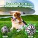 Durable Xben Dog Toys for Big Dogs | 20cm Interactive Dog Balls & Footballs | Water Toys & Tug-of-War Balls - Buy Online on GoSupps.com