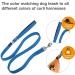 Buy Basic Blue Leash L | Durable & Stylish Dog Leash for International Shipping - Buy Online on GoSupps.com