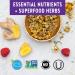 New Chapter Every Woman's One Daily Multivitamin - 96 Vegetarian Whole-Food Tablets - Buy Online on GoSupps.com