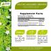 Jiva Botanicals Organic Bacopa Monnieri Capsules - 300mg Extract for Brain Health - Memory, Focus, Energy & Clarity Support - 60 Capsules - Buy Online on GoSupps.com