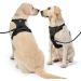 Nestroad Large Dog Harness & Leash Set - Adjustable Black Size L for Dogs (Neck 38-48cm Chest 48-74cm) - Includes Seat Belt for Car Safety - Buy Online on GoSupps.com