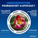 ARTHROPHYTOL - Gel de Massage Articulations & Muscles - 8 Actifs Naturels - Harpagophytum & Huiles Essentielles & Menthol & Camphre - Soulage instantan ment et durablement - Laboratoires Vitalth a 100 ml (Lot de 1) - Buy Online on GoSupps.com