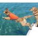 Vivaglory Sporty Neoprene Rescue Vest for Dogs - Orange XL (74-84cm) | Durable & Comfortable Pet Security Harness - Buy Online on GoSupps.com