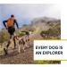 Ruffwear Hi & Light Dog Harness | No Pull Fully Adjustable Lightweight | Sizes XXXS to XL | Blue Dusk - Perfect for All Breeds - Buy Online on GoSupps.com
