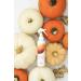 Grow Fragrance Ginger Pumpkin 100% Plant Based Air + Fabric Freshener Spray 5 oz - Fall Limited Edition - Buy Online on GoSupps.com