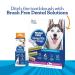 Vetality Brush-Free Oral Gel for Dogs | Proven Dental Care with ProLong Technology - Buy Online on GoSupps.com