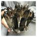Crystal Rough Natural Crystal Rough Beautiful Natural Black Smoky Quartz Crystal Cluster Home Office Aquarium Decoration (Size : 800-900g)