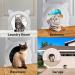 Wulikeke Interior Cat Door - Easy Installation for Indoor Cats - Includes Screws - No Flap - Large Size - Buy Online on GoSupps.com