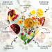 Hallingers Tea Deluxe Selection | 24 Varieties Gift Set - Vegan & Gluten-Free | Perfect for Mother's Day Father's Day & New Year's Celebrations - Buy Online on GoSupps.com