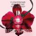 Viktor&Rolf - Flowerbomb Ruby Orchid Eau de Parfum - Women's Perfume Travel Holiday Gift Set - Floral & Fruity - With Notes of Vanilla & Peach - Full Size 3.4 Fl Oz & Travel Size 0.3 Fl Oz - Buy Online on GoSupps.com