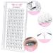 Premade Fans Eyelash Extensions | 14D-D-0.05 | Volume Lash Extensions | C D Curl | International Shipping - Buy Online on GoSupps.com