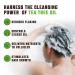 Viking Revolution Tea Tree Shampoo and Conditioner Set - Hydrating, Moisturizing, and Soothing - 17 oz - Buy Online on GoSupps.com