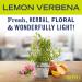 Mrs. Meyer's All-Purpose Cleaner Spray - Lemon Verbena, 16 fl. oz | Natural & Effective Cleaning - Buy Online on GoSupps.com
