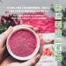 Poudre d airelles rouges sauvages biologiques LOOV 113 g 100% baies enti res lyophilis es sans sucre ajout r colt es l tat sauvage dans les for ts d Europe du Nord - Buy Online on GoSupps.com