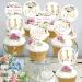 Funmemoir Flower First Birthday Decorations for Girl - 24PCS Pink Floral Cupcake Toppers for Isn't She Lovely Isn't She Onederful Little Miss Onederful Baby Girl 1st Birthday Party Decorations - Buy Online on GoSupps.com