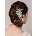 AW BRIDAL Wedding Hair Clip Rhinestones Hair Comb for Women Bridal Flower Hair Piece Crystal Wedding Hair Accessories for Brides (Silver)