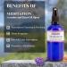 Vitali-Chi Essential Oil Spray Made from Lavender and Elemi | Detoxing & Calming Atmosphere Relaxation Focus & Peace | Air Freshener Aura & Room Spray with Refreshing & Soothing Aroma - 50 ml Lavender & Elemi - Buy Online on GoSupps.com