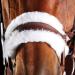 Buy Collegiate ComFiTec Sheepskin Bridle Brown Cob - Premium Comfort & Quality for Equestrian Excellence | International Shipping Available - Buy Online on GoSupps.com