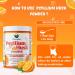 Danodia Foods Organic Psyllium Husk Powder Mild Orange Flavor, 200g (8.8oz) | Sat-Isabgol with 5 Added Herbs | Unsweetened, Gluten-Free, Natural Fiber Supplement for Digestive Health - Buy Online on GoSupps.com