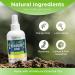 Rocket Pure Natural Shoe Deodorizer and Foot Spray - Lemon Scented Odor Eliminator - 4 Fl Oz - Buy Online on GoSupps.com