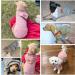 BEAUTYZOO Small Dog Hoodie Sweater - Waffle-Like Laminated Cotton Pet Coat - Grey - S (Back 12 Chest 16 Neck 10) - Buy Online on GoSupps.com
