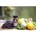 Celtic Sea Salt Gourmet Shaker - 2.3oz | Umami Seasoning with Naturally Occurring Iodine | Seaweed Infused for Enhanced Flavor - Buy Online on GoSupps.com