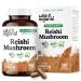Wild & Organic Reishi Mushroom Capsules 1000 mg - Immune & Energy Support - Red Reishi Mushroom Extract - Ganoderma Lucidum Supplement - 180 Vegan Capsules - 90 Days of Supply Non-GMO Gluten-Free 180 Count (Pack of 1)