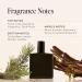 DIME No. 1 Cologne for Men Clean Fragrance for Men with Amber Woods Cardamom and Leather 1.7 oz / 50 ml - Buy Online on GoSupps.com