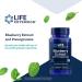Life Extension Blueberry Extract & Pomegranate - 60 Vegetarian Capsules for Antioxidant Support - Buy Online on GoSupps.com