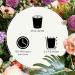 Apotheke 3-Wick Candles Collection - Charcoal | Premium Scented Candles for Home | International Shipping Available - Buy Online on GoSupps.com
