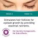 FEG Accelerating Mascara & Eyelash Enhancer Serum | 2-in-1 Formula for Longer, Darker Lashes | Eyelash Enhancing Serum 6mL - Buy Online on GoSupps.com