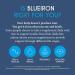Blueiron Liquid Iron Supplement with Nordic Blueberries | 250ml | Vegan-Friendly Formula with Vitamin C, B12, Folic Acid, Biotin, and Zinc | Gentle & Easily Absorbed - Buy Online on GoSupps.com