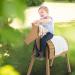 Buy Durable Solid Teak Wood Outdoor Play Horse - Vaulting Horse with Mane & Tail for Garden Fun | International Shipping Available - Buy Online on GoSupps.com