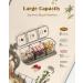 Weekly Pill Organizer 3 Times A Day - AM PM 7 Day Medicine Box Large Travel Case for Vitamins & Supplements (Green - Buy Online on GoSupps.com