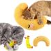 TYXHXTF 2 PCS Cat Toys Pillows for Cat Plush Pillow for Indoor Cats Kitten Chew Toys for Indoor Cats Kitten Teeth Cleaning Playing Soft Cat Hugging Pillow