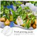 Balacoo Vegetable Growing Mold Garden Fruit Growing Mould Buddha Shaped Fruit Mold Acrylic Small - Buy Online on GoSupps.com