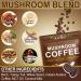 WLCTJIAYOU Mushroom Coffee Powder 10 Superfood Mushrooms Blend for Energy Recovery & Focus 39 Servings - 8.28 OZ - Buy Online on GoSupps.com