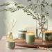 Buy Beautifully Done Essentials Hinoki Sage Scented Candle Refill - Luxurious Aromatherapy for Your Home | International Shipping Available - Buy Online on GoSupps.com