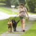 Trhills 3m x 14mm Adjustable Double Dog Leash for 2 Dogs - Tangle-Free 360 Rotatable Design for Medium & Large Breeds - Black - Buy Online on GoSupps.com