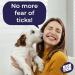 Novokill Kick The Tick Icing Spray & Professional Tick Tweezers in Tick Remover Set - Over 40 Applications | Painless Tick Removal for Children | Tick Remover for Dogs & Humans - Buy Online on GoSupps.com