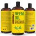 Buy Pure Cold Pressed Neem Oil 32 fl oz - Non-GMO Hexane Free 100% Pure for Plants Skincare & Haircare | Treat Dry Skin & Promote Healthy Hair Growth - Buy Online on GoSupps.com