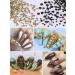 Spearlcable 5400 Pieces Crystal Nail Rhinestones Set - Black and Gold Flat Back Round Beads for Crafts and Nail Art - 6 Mixed Size(Color B) - Buy Online on GoSupps.com