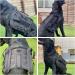 Large Dog Backpack Outdoor Hound Saddle Bag Dog Pack with Side Pockets for Small Medium Large Dogs Adjustable Tactical Dog Pack for Hiking Travel Camping Training Black M M (chest 28-35 inch) Black (Tactical) - Buy Online on GoSupps.com