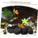 Frcolor Volcanic Stone Aquarium Landscaping - Natural Stone Decor for Fish Tanks & Flower Pots | Breathable Gravel & Plant Ornaments - Buy Online on GoSupps.com