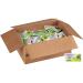 Kraft Fat Free French Salad Dressing 0.44 oz Packets - Pack of 200 | Convenient Single Serve Packets - Buy Online on GoSupps.com