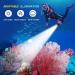 Wurkkos 2000Lumen Rechargeable Scuba Diving Flashlight | Dive Torch with SST40 LED | IPX8 Waterproof | 150M Underwater LED Flashlight | Submersible for Cave Snorkeling | 5000K White - Buy Online on GoSupps.com
